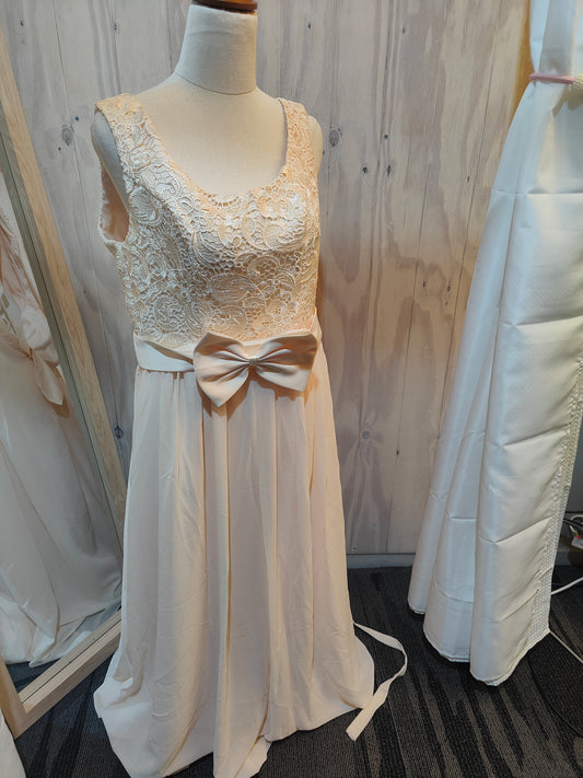 Soft Blush Lace and Chiffon Gown